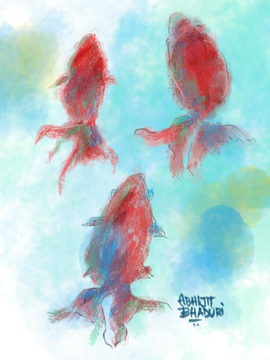 Fish.jpeg