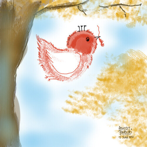 Bird's nest.jpg