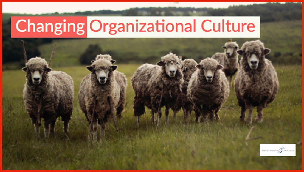 Culture-1.jpg