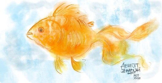 Gold fish.jpeg