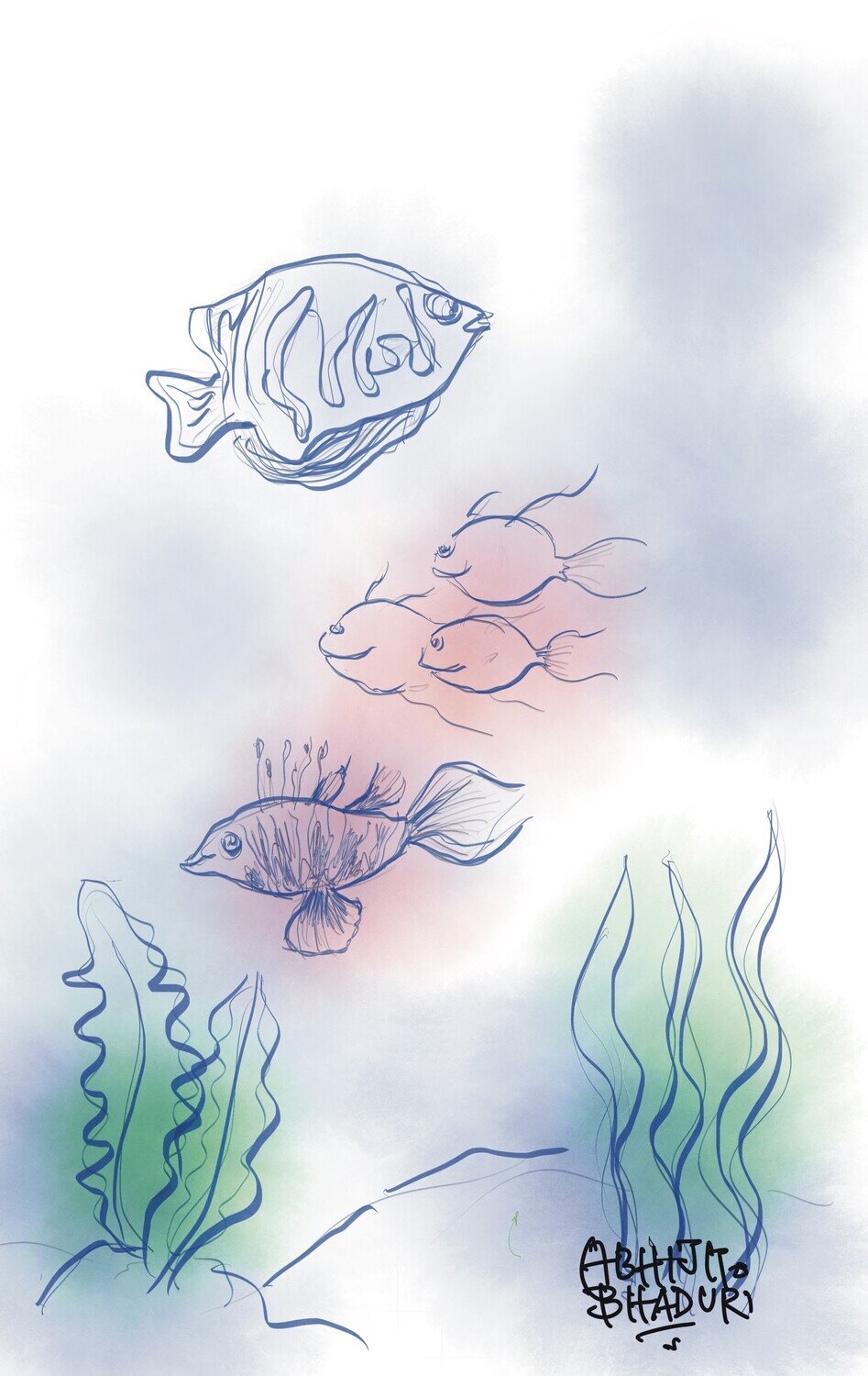 Small Fish.jpg