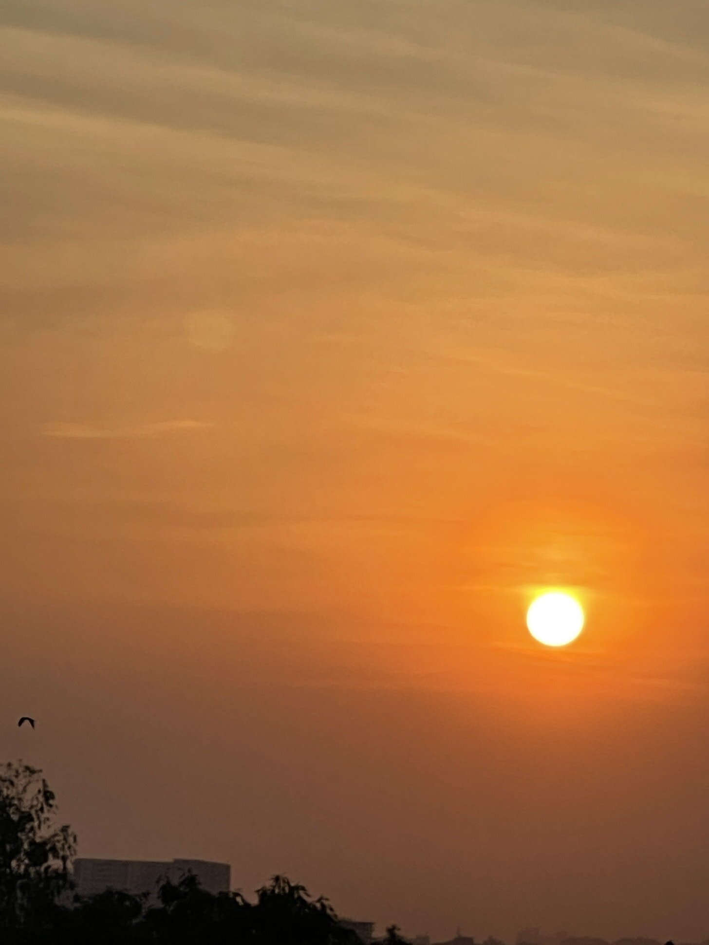 sunset.jpeg