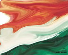 The Indian Flag