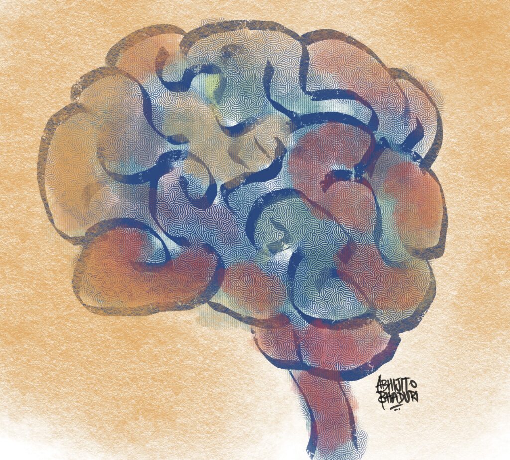 Brain