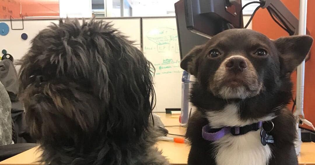 Book Review: Persuasive Presentations