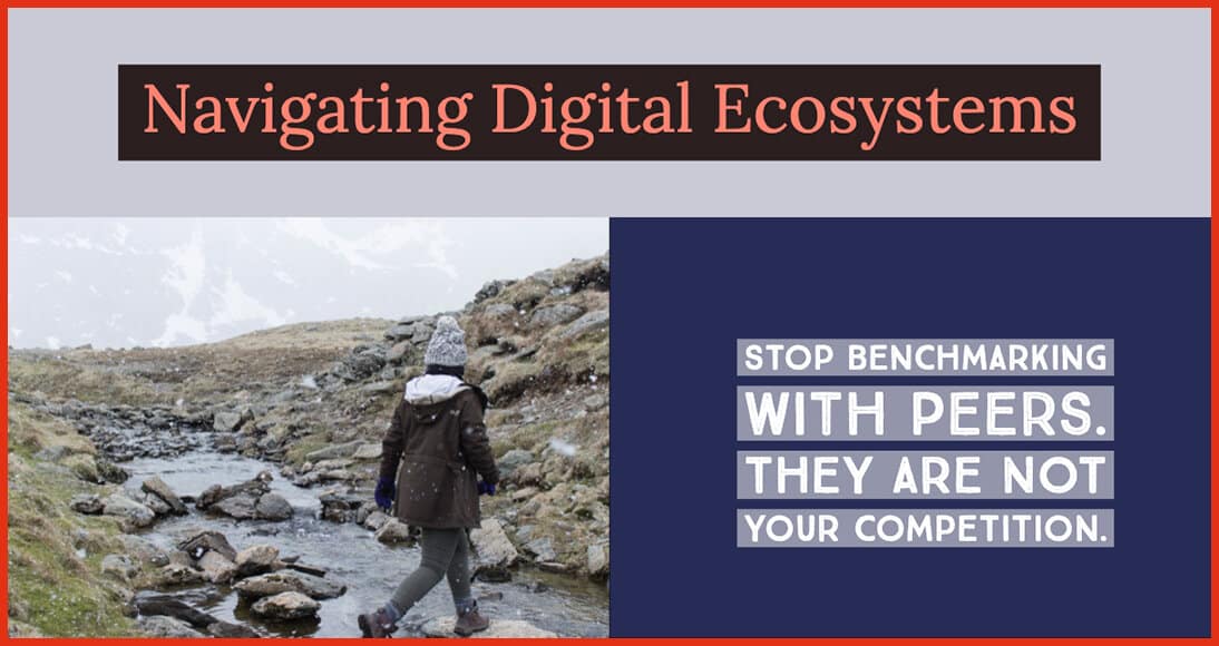 Navigating digital ecosystems