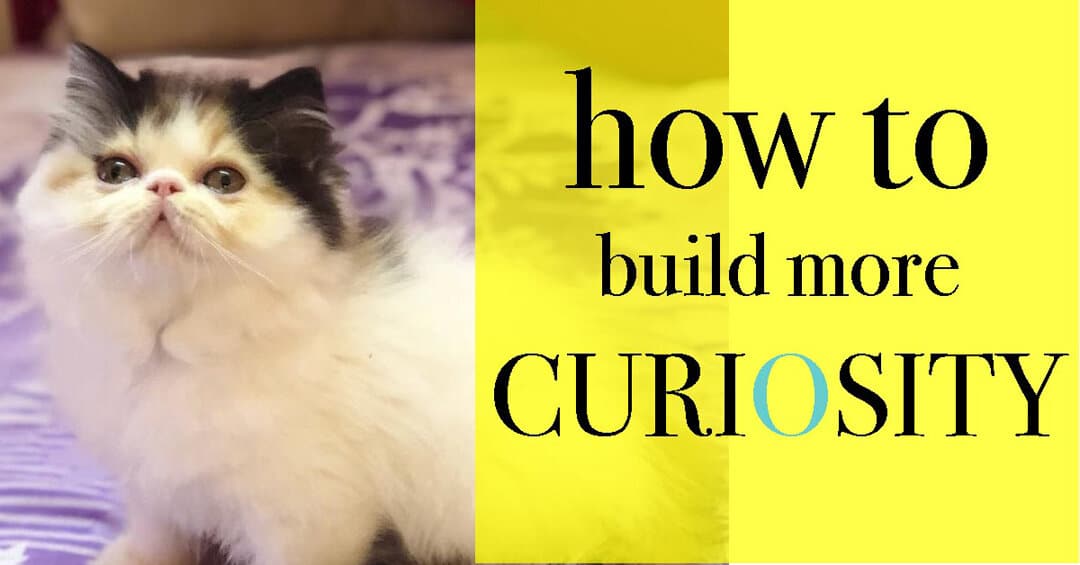 How to build more curiosity