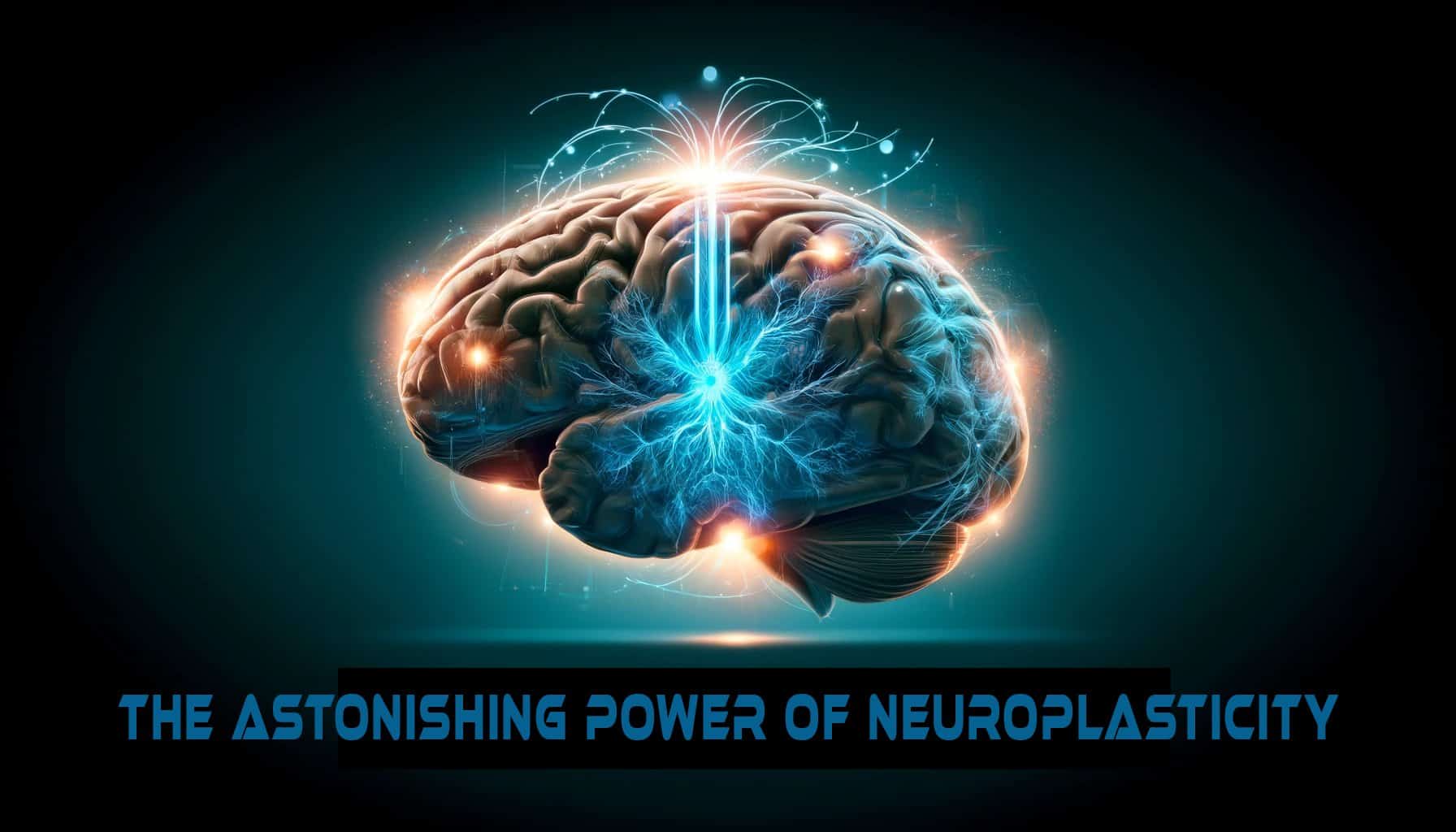 The Astonishing Power of Neuroplasticity